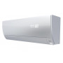 Hitachi RAK-50PSES/RAC-50WSE